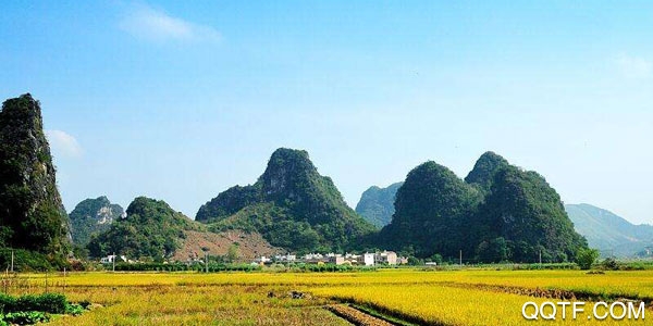 最清远客户端