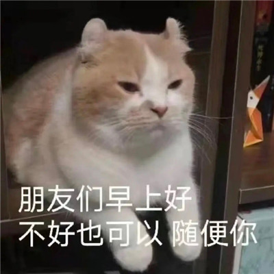 你为什么不找我玩热门搞怪表情包