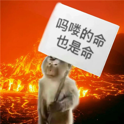 扛不住了给自己打气-史上最快乐的搞怪表情包6