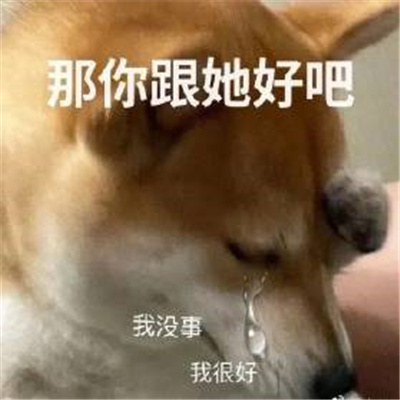好可爱好喜欢的表情包合集 恋爱综合微信实用表情包 