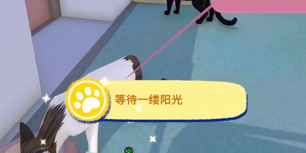 小猫咪大城市等待一缕阳光成就通关方法攻略一览