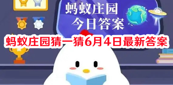 观看演唱会时,以下哪种做法有助于避免听力受损