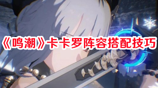 《鸣潮》卡卡罗阵容搭配技巧